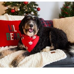 dearfoams Red Holiday Bandana for Dogs